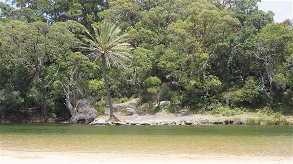 Wattamolla Beach (1/07/2016 - Credits: Mary Barltrop)