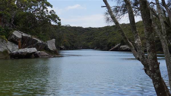 Wattamolla Beach (1/07/2016 - Credits: Mary Barltrop)
