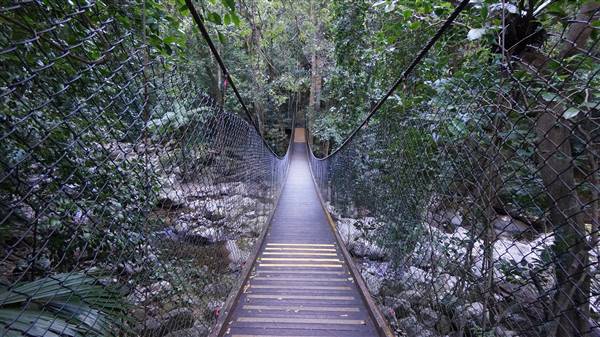 Minnamurra Rainforest Walk - Budderoo National Park (2/07/2016 - Credits: Mary Barltrop)