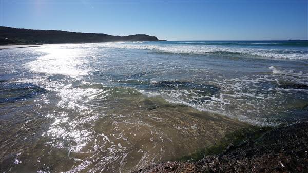 Frazer Beach Campground - Munmorah State Conservation Area (4/07/2016 - Credits: Mary Barltrop)