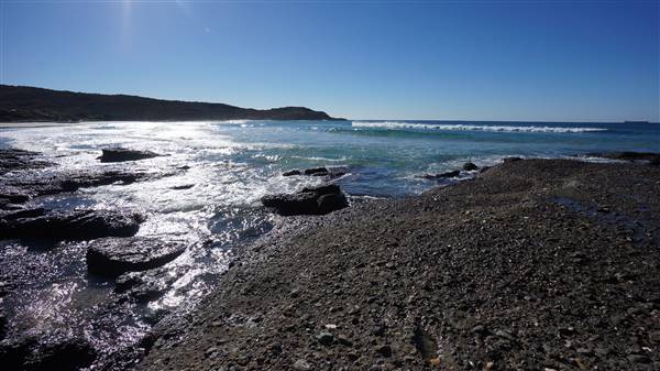 Frazer Beach Campground - Munmorah State Conservation Area (4/07/2016 - Credits: Mary Barltrop)