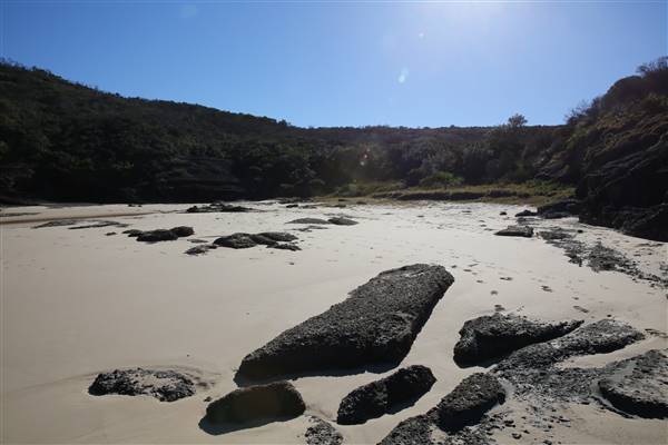 Munmorah State Conservation Area - Snapper Pt and Bongon Beach (4/07/2016)