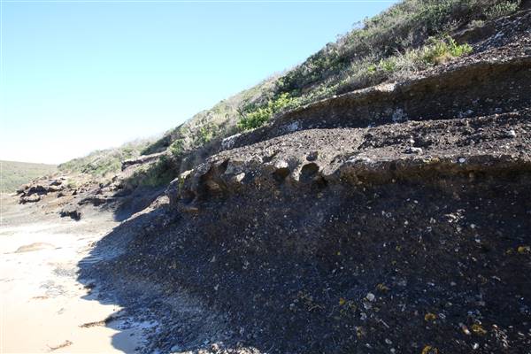 Munmorah State Conservation Area - Snapper Pt and Bongon Beach (4/07/2016)