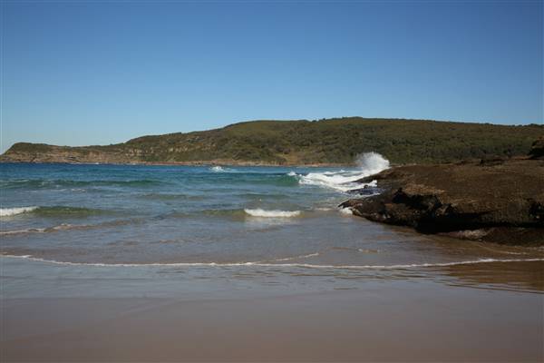 Munmorah State Conservation Area - Snapper Pt and Bongon Beach (4/07/2016)
