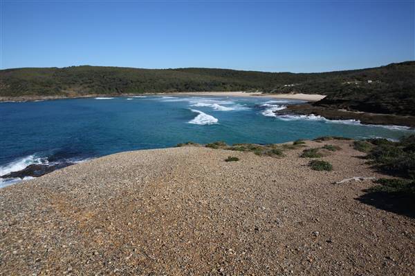 Munmorah State Conservation Area - Snapper Pt and Bongon Beach (4/07/2016)