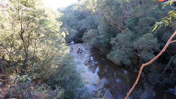 Somersby Falls picnic area - Brisbane Water National Park (4/07/2016 - Credits: Mary Barltrop)