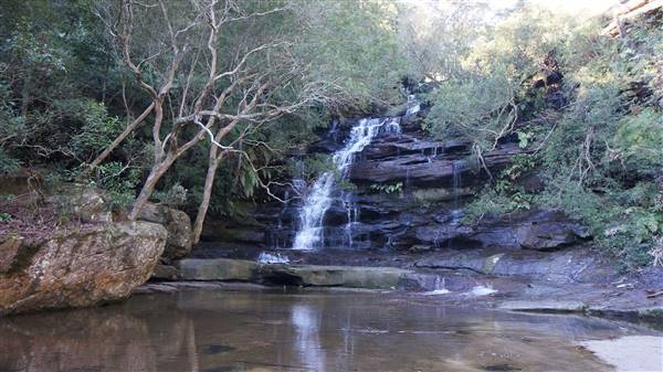 Somersby Falls picnic area - Brisbane Water National Park (4/07/2016 - Credits: Mary Barltrop)