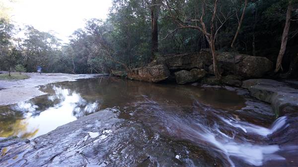 Somersby Falls picnic area - Brisbane Water National Park (4/07/2016 - Credits: Mary Barltrop)