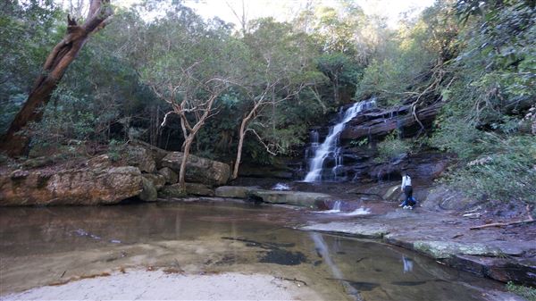 Somersby Falls picnic area - Brisbane Water National Park (4/07/2016 - Credits: Mary Barltrop)