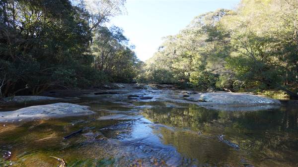 Somersby Falls picnic area - Brisbane Water National Park (4/07/2016 - Credits: Mary Barltrop)