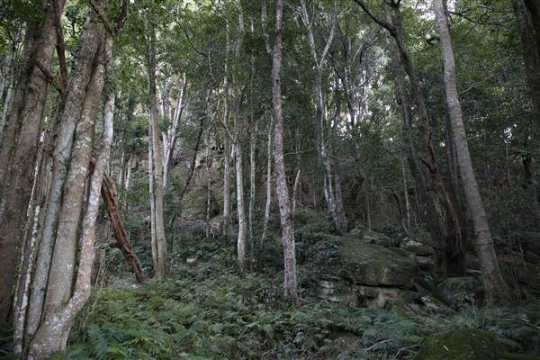 Mount Keira Scout Camp File 1 (5/07/2016)