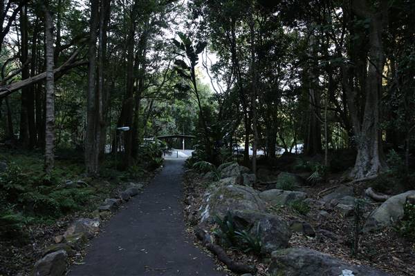 Mount Keira Scout Camp File 1 (5/07/2016)