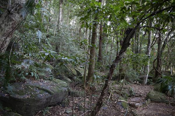 Mount Keira Scout Camp File 1 (5/07/2016)