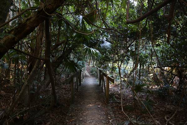 Mount Keira Scout Camp File 1 (5/07/2016)