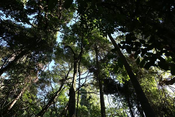 Mount Keira Scout Camp File 1 (5/07/2016)