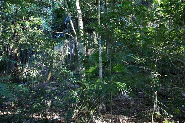 Mount Keira Scout Camp File 1 (5/07/2016)