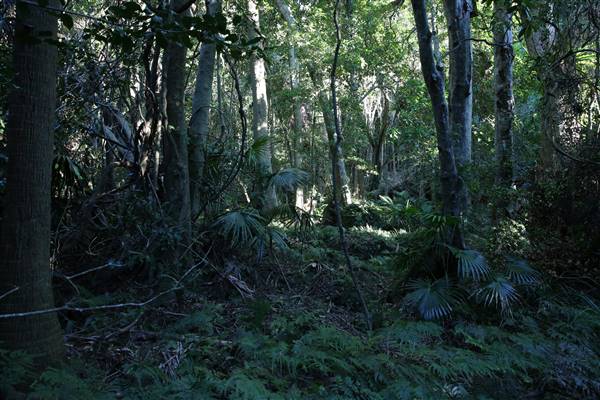 Mount Keira Scout Camp File 1 (5/07/2016)