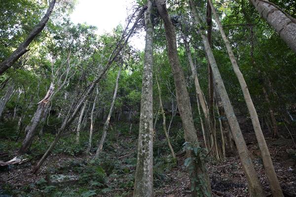 Mount Keira Scout Camp File 1 (5/07/2016)