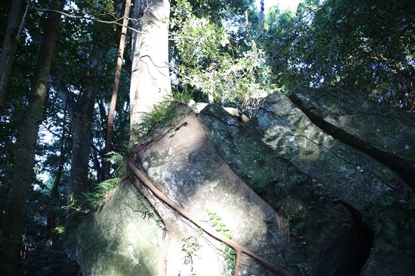 Mount Keira Scout Camp File 1 (5/07/2016)
