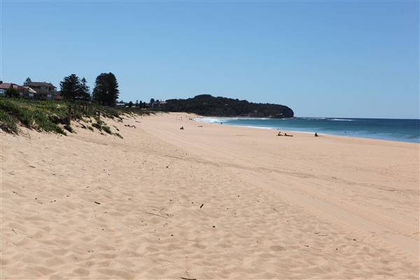 Narrabeen Beach (16/10/2016 - Credits: John Harris)
