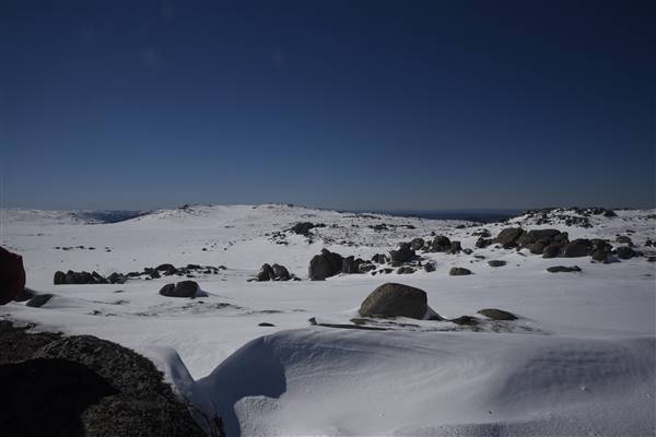 Mount Kosciuszko (19/10/2016)