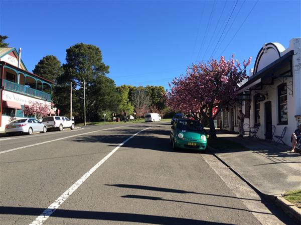 MT VICTORIA MAIN STREET (25/10/2016)