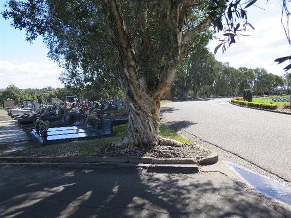 Rookwood Cemetery (10/11/2016 - Credits: Peter Hicks)
