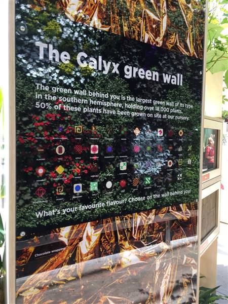 The Calyx - Royal Botanic Garden Sydney (11/11/2016)