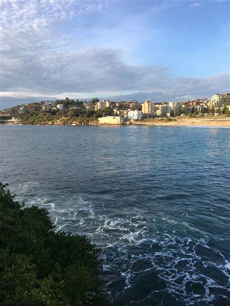 Coogee Beach North - South View (28/11/2016 - Credits: Mechele Axford)