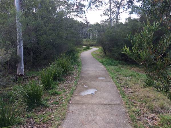 The Gully Walk, Katoomba (formerly Catalina Park) (24/05/2017 - Credits: Robyn Bersten)