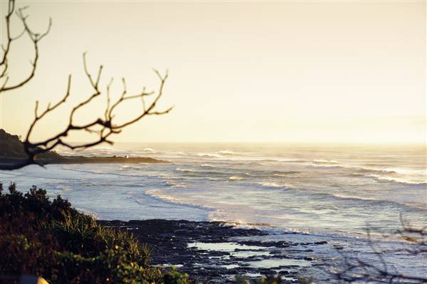Shelly Beach Rockpools (14/05/2012)