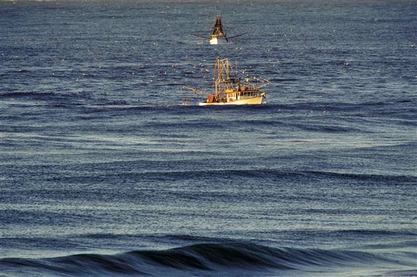 Fishing Trawlers (14/05/2012)