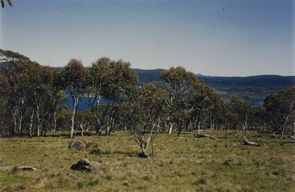Snowy Mountains region (12/07/2017 8:28:00 PM)