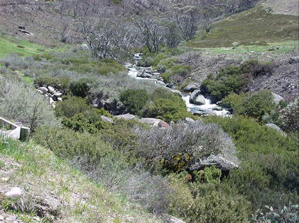 Snowy Mountains region (12/07/2017 8:28:01 PM)