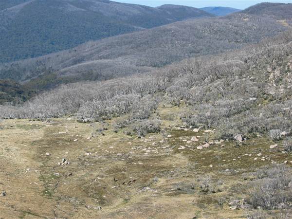 Snowy Mountains region (12/07/2017 8:28:09 PM)