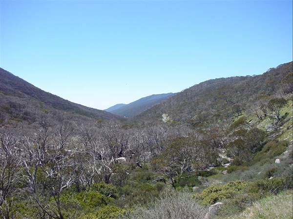 Snowy Mountains region (12/07/2017 8:28:16 PM)