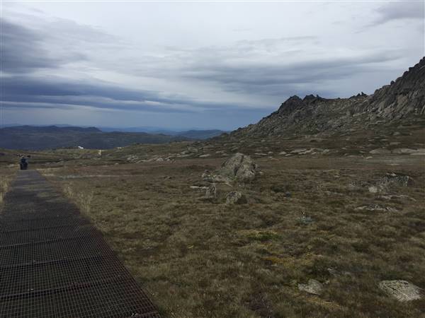 Snowy Mountains region (12/07/2017)