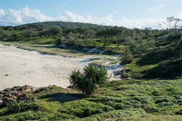 Hastings Point (26/07/2017)