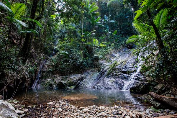 Tunsted Private Property Crystal Creek Valley (1/06/2017 - Credits: Colin McDougall)