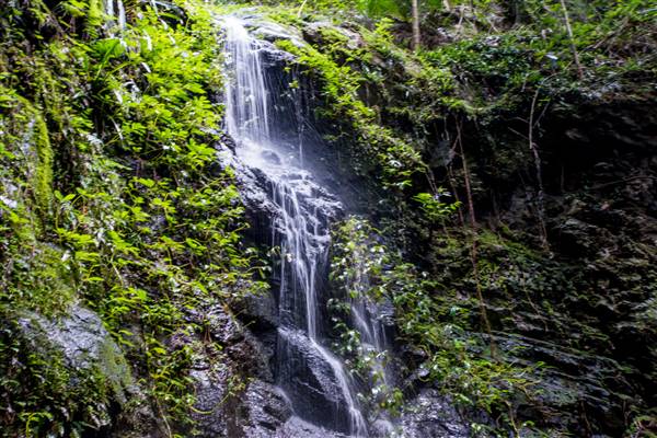 Tunsted Private Property Crystal Creek Valley (1/06/2017 - Credits: Colin McDougall)