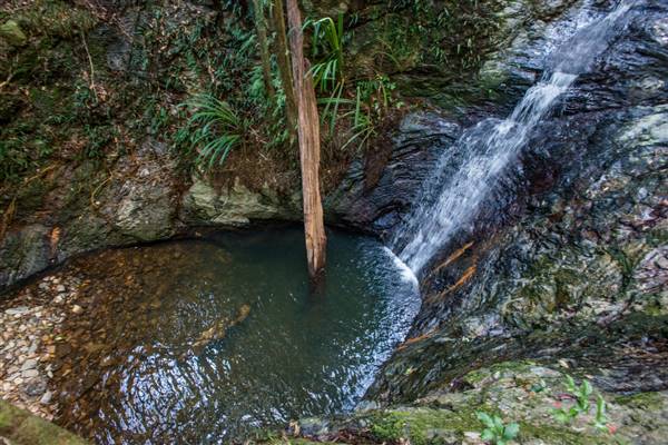 Tunsted Private Property Crystal Creek Valley (1/06/2017 - Credits: Colin McDougall)