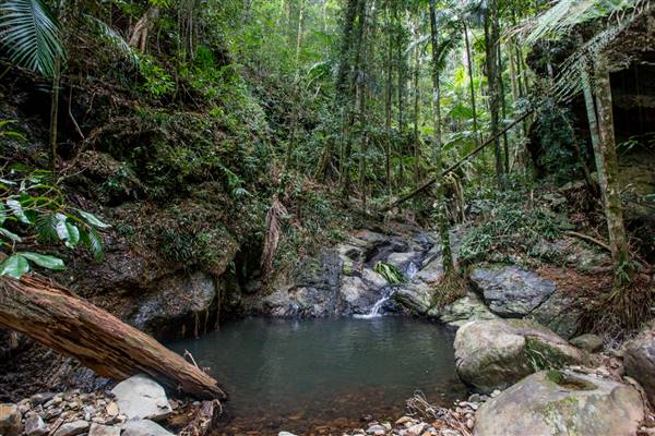 Tunsted Private Property Crystal Creek Valley (1/06/2017 - Credits: Colin McDougall)