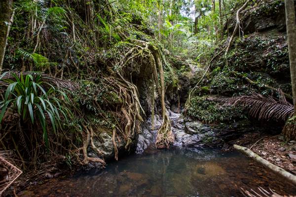 Tunsted Private Property Crystal Creek Valley (1/06/2017 - Credits: Colin McDougal)