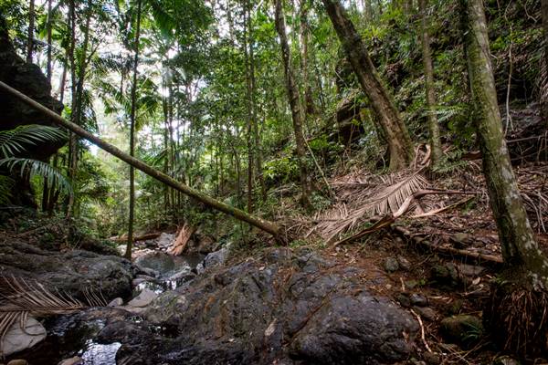 Tunsted Private Property Crystal Creek Valley (1/06/2017 - Credits: Colin McDougal)