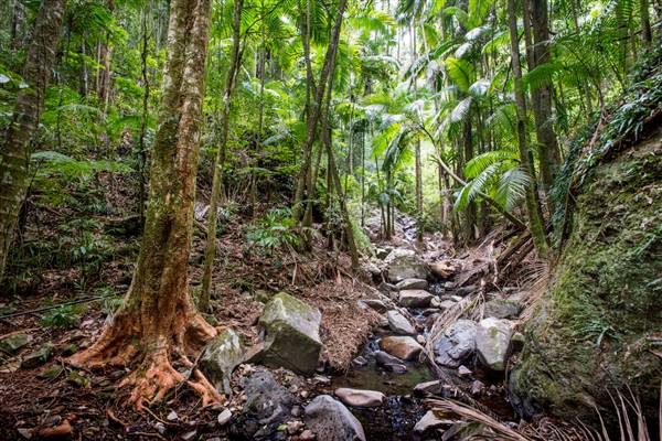 Tunsted Private Property Crystal Creek Valley (1/06/2017 - Credits: Colin McDougal)