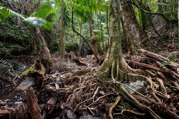 Tunsted Private Property Crystal Creek Valley (8/06/2017 - Credits: Colin McDougal)