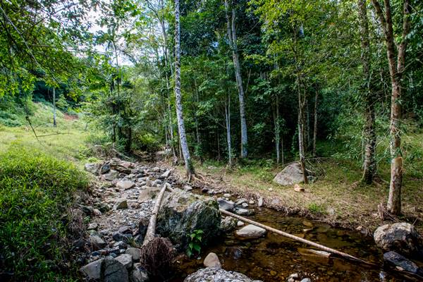 Tunsted Private Property Crystal Creek Valley (8/06/2017 - Credits: Colin McDougal)