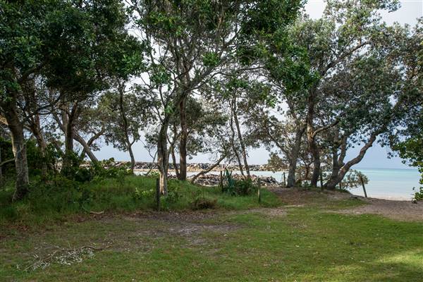 Brunswick Head Estuaries 2017 (27/07/2017 - Credits: Colin McDougall)