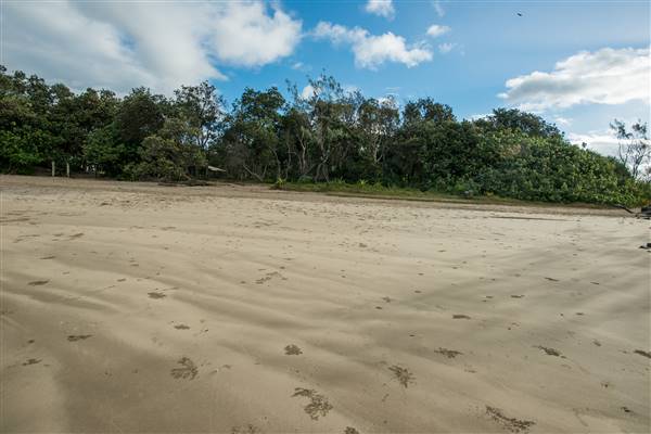 Brunswick Head Estuaries 2017 (27/07/2017 - Credits: Colin McDougall)