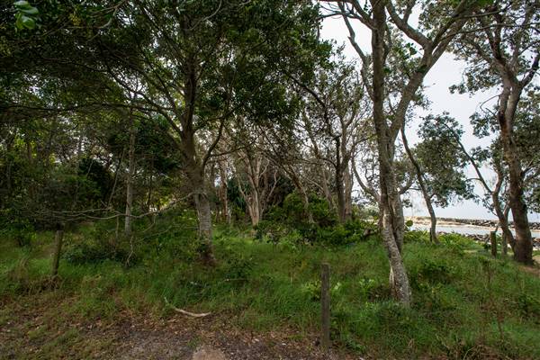 Brunswick Head Estuaries 2017 (27/07/2017 - Credits: Colin McDougall)